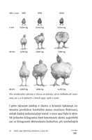 a101Z0F0012140_jak-nasytit-planetu-list3