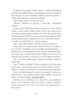 b102l10001595_rozpravacka-z-osviencimu-l