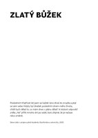 0100926361_9788088433804_Burn-Book-list2