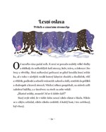 A10110F0013098_vanocni-pribehy-skritka-k