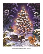 A10110F0013098_vanocni-pribehy-skritka-k