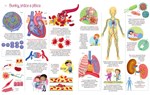 B102S1F0002232_Chces-vediet-vsetko-Prva-