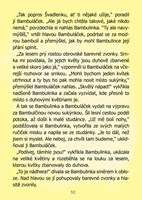 a101c0n0017301_kaja-a-bambulacek_list3.j