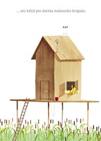 0101092527_9788025516348_O kachne, co sa