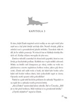 A10110F0015964_Kocici-valecnici-Extra-vz