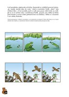 A101E0N0017455_Mezi-nami-od-4-do-6-let_l