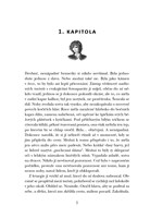 A101I0F0017500_podsveti-artefakt-list1.j