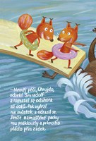 0102015854_9788075582744_Jezevec_Chrujda