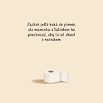 0102046828_9788025516157_uz-chodim-na-no