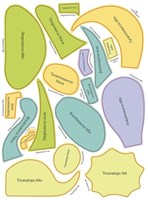 a101c0n0016113_pojd-kreslit-dinosaury-li