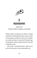 a101f0f0015968_hvezdy-fotbal-hriste-12-v