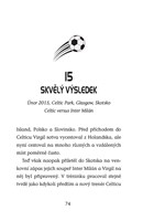 a101f0f0015968_hvezdy-fotbal-hriste-12-v