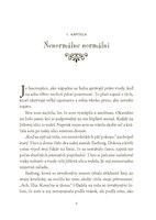 b102l10001632_magicki-agenti-1-s-vilami-