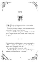 b102l10001625_pobozkaj-spravnu-nevestu-l