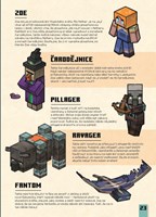 A101M0F0017394_minecraft-chytte-creepera