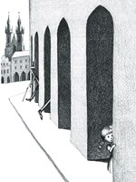 0102603287_9788075582249_Anicka_skritek_