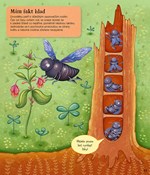 A101U0F0015312_svet-vcel-a-jejich-pribuz