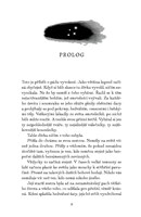 a10130F0012108_ohnivacek-a-srdce-z-kamen