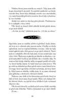 a10130F0012108_ohnivacek-a-srdce-z-kamen