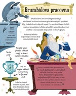 A10110F0015963_Potterovsky-pruvodce-Prof