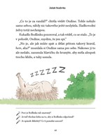 a101f0f0016468_jezek-bodlinka-a-nezbedne