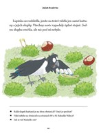 a101f0f0016468_jezek-bodlinka-a-nezbedne