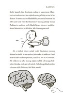 b102l10001590_sprievodca-mladeho-genia-l