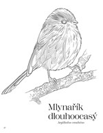 a101A0F0017011_ptaci-omalovanky-pavliny-