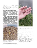 A101E0N0011334_Pruvodce-zaklady-rybareni