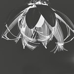 A101I0F0015318_posledni-letni-kvet-list4