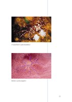 a101a0f0017977_ponor-se-do-sve-budoucnos