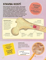 b102l1l0002111_trenuj-si-mozog-ludske-te