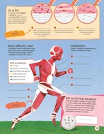 b102l1l0002111_trenuj-si-mozog-ludske-te