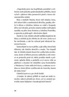 A10160F0015214_pripad-milovnika-starych-