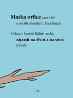 A101V0F0016839_Jsou-i-daleko-horsi-matky