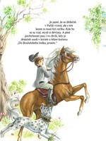 0101423748_9788072677689_heidi-na-cestac