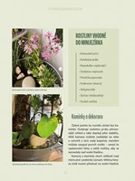 A101B0N0016936_Terapie_balkonem_list3.jp