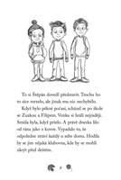 a101f0f0015691_npssk-17-rozespaly-netopy