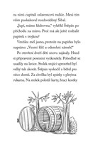 a101f0f0015691_npssk-17-rozespaly-netopy