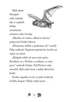 a101f0f0015691_npssk-17-rozespaly-netopy