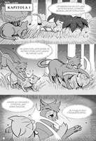 A10110F0018604_kocici-valecnici-komiks-z