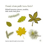 A101I0F0017410_lesni-vila-modlinka-list2