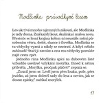 A101I0F0017410_lesni-vila-modlinka-list4