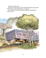 A102M1F0017872_macko-puf-kuzelny-les-lis