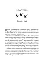 a101f0f0013665_sirotci-destovych-stinu-l