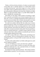 a101f0f0013665_sirotci-destovych-stinu-l