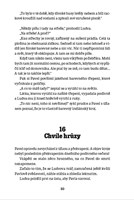 A10110F0016404_Chata-v-Jezerni-kotline-l