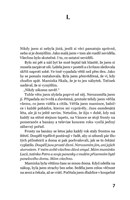 A101I0F0017031_uz-nestojim-pod-duhou-lis