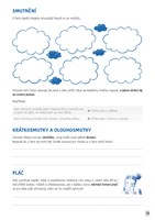 0104615797_9788088648529_sesit-pocitu-li