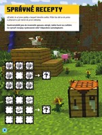 A101M0F0015520_minecraft-samolepkove-dob